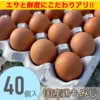 【大き目サイズ】　×40個・箱入り国産鶏種もみじのタマゴ！