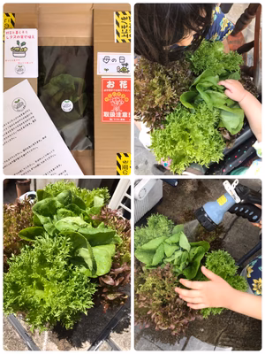 みんなの投稿の画像