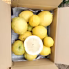 国産レモン12個 〜酸とビタミンたっぷり〜箱込3キロ