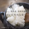 《お歳暮》2020年産 コシヒカリ白米5kg【無農薬・無肥料・天日干し】
