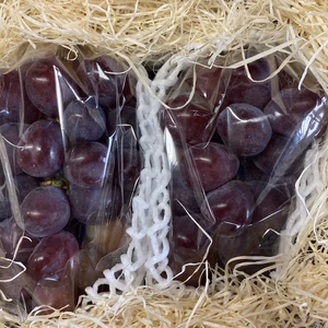 家庭用　富士の輝き　2房入合計1.1キロ以上　シャインマスカットの子