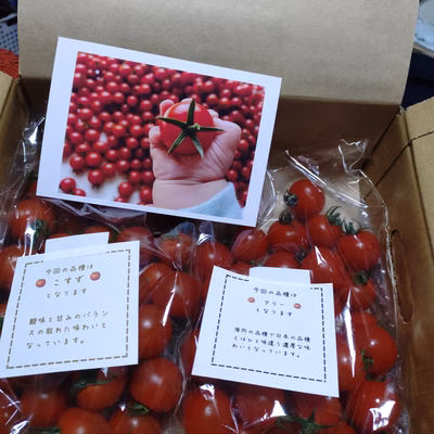 みんなの投稿の画像