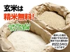  【令和2年産】新潟県特別栽培米コシヒカリ　玄米（25kg）