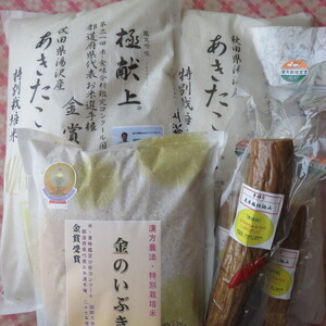 かつらちゃん様　金+専用出品