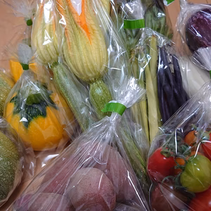 【食の都庄内】シェフ御用達！7月の西洋野菜セット 2～3名様用