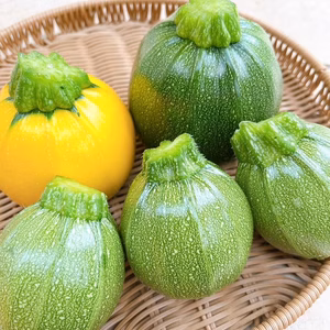 【美味くてかわいい】　京都産丸ズッキーニ