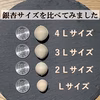 【数量限定】祖父江の銀杏《藤九郎》特大大粒４Ｌサイズ