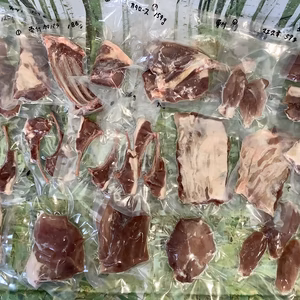 大勢でのBBQに！子猪ブロック肉各部位2.7kg　3/28出品