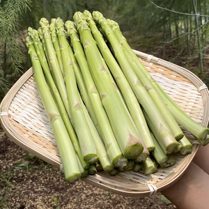 【自然栽培ならでは!】自然な甘さと旨味に自信あり!! 自然栽培アスパラガス