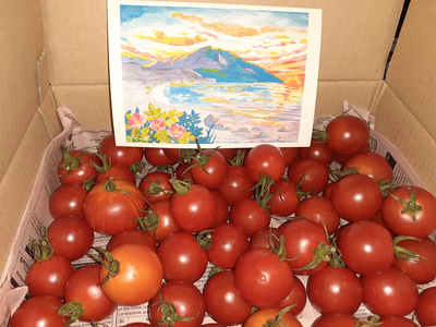 みんなの投稿の画像