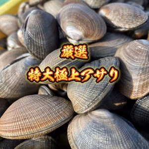 【お歳暮や贈り物に】厳選！特大極上アサリ