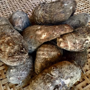 里芋　無農薬栽培