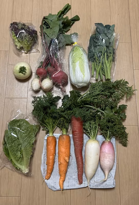 みんなの投稿の画像