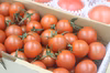 まるたか農園採れたて完熟トマトセット