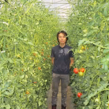 平智之 | 平農園