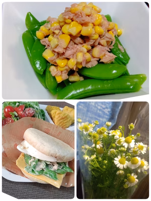 みんなの投稿の画像