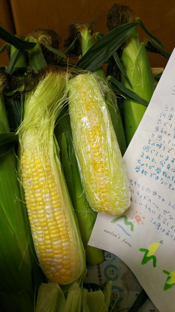 マーフィーズファーム 篠塚政嗣さんへのみんなの投稿 農家漁師から産地直送の通販 ポケットマルシェ