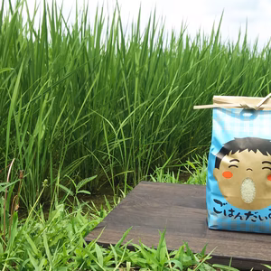 ごはん大好き！菜園家族の旅するお米「コシヒカリ」【玄米】