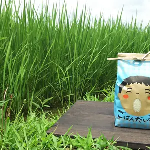 ごはん大好き！菜園家族の旅するお米「コシヒカリ」【玄米】