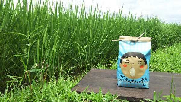 ごはん大好き！菜園家族の旅するお米「コシヒカリ」【玄米】