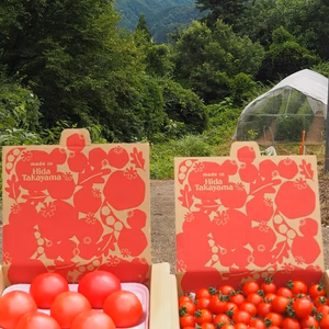 お得！濃厚　ピッコラ・ルージュと麗月7玉入りのセット