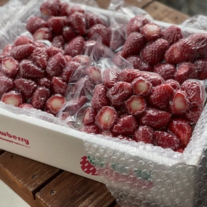 冷凍いちご(紅ほっぺ)500g×4袋の1箱2㎏セット