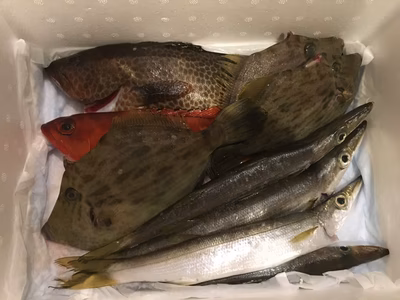 みんなの投稿の画像