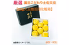  【新発売】厳選 園主こだわり土佐文旦5kg大玉【贈答用化粧箱】 