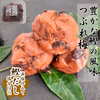 梅干し 300ｇ４種から選べる！ 梅 うめぼし 和歌山県産 南高梅！肉厚つぶれ梅