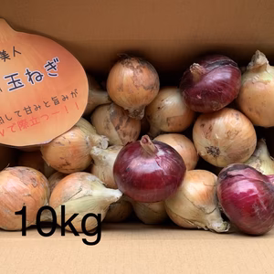 訳ありかも10k‼️淡路島玉ねぎ❣️レッドオニオン入り