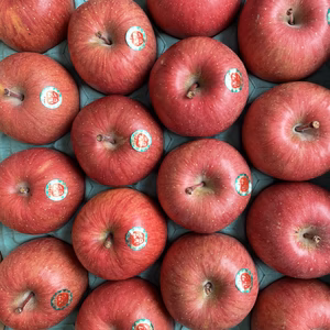 青森県産サンふじ【贈答品】5kg16個入