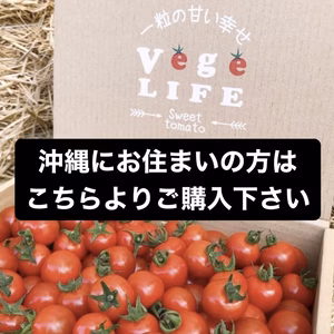 沖縄にお住まいの方ご購入画面　甘くて濃厚ミニトマト