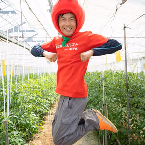 【福袋2024】末広がり8％off！★おみくじ付★ミニトマト