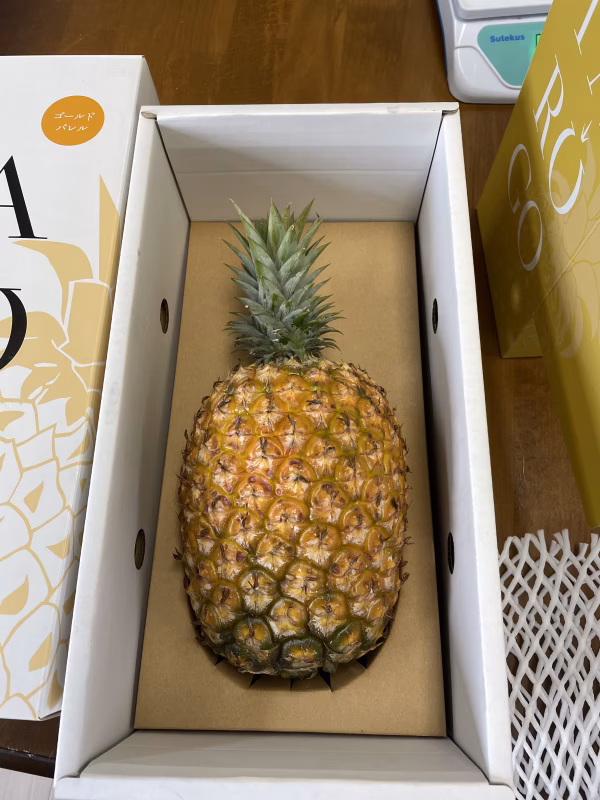 TARUGO　ゴールドバレルを化粧箱に入れて！