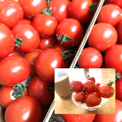 みんなの投稿の画像