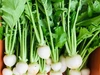 こどもの味覚を育む野菜セットM （野菜8種、卵10個）