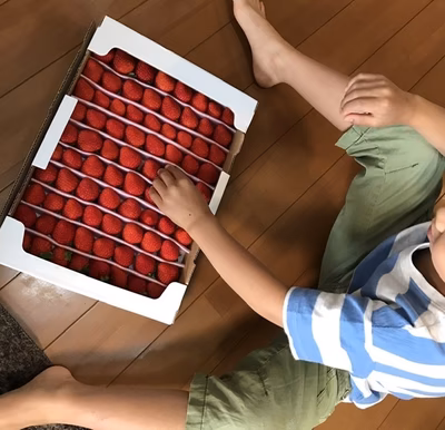 みんなの投稿の画像