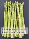 訳あり！お買い得『夏アスパラ』