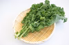 【新鮮採りたて】京都産ケール