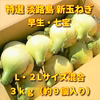 春限定！！その甘さに感激！特選 淡路島新玉ねぎ　３ｋｇ（早生・七宝）
