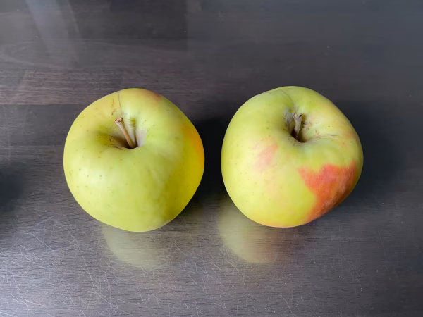 【訳あり】大人気！ぐんま名月家庭用品