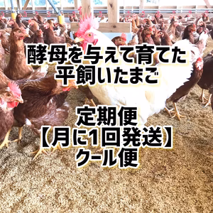 定期便（月1回）【酵母・平飼いたまご】酵母を与えて育った平飼い卵