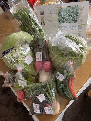 みんなの投稿の画像