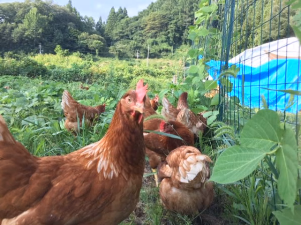 信州MIYAFARM