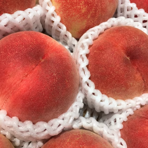 山梨の桃　桃　＊ギフト お中元　