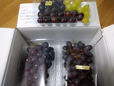 みんなの投稿の画像