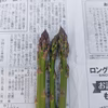 秋田県産アスパラMS混合サイズ