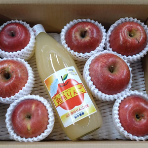 雪ん子*訳アリ★全玉蜜入り★完熟ふじりんご約2kg＆ジュース