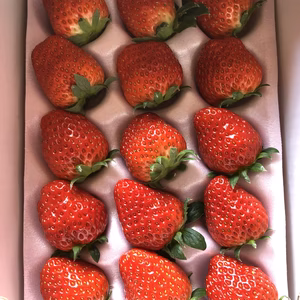 【今だけ❗️】真心こめて育てた完熟紅ほっぺ1箱(1シート15粒入り)