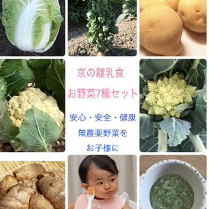 京の無農薬野菜《7種の旬野菜/離乳食お野菜セット》